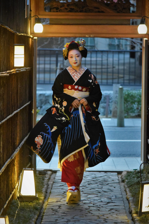 iesuuyr:Kyoto, Japan | kyotoflowertourism | 55maiko.net