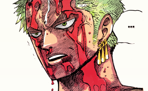 One Piece Wallpaper One Piece Zoro Takes Luffys Pain