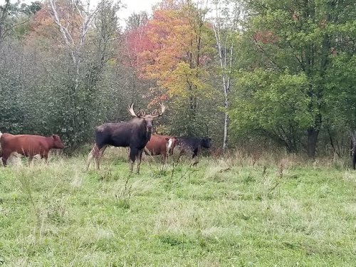 wisco-warrior:Central Wisconsin near Fairchild