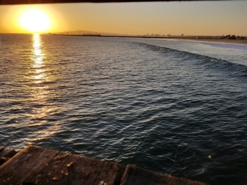 Friday Oct 12th, 2017 Seal Beach PierSpread love, good vibes...