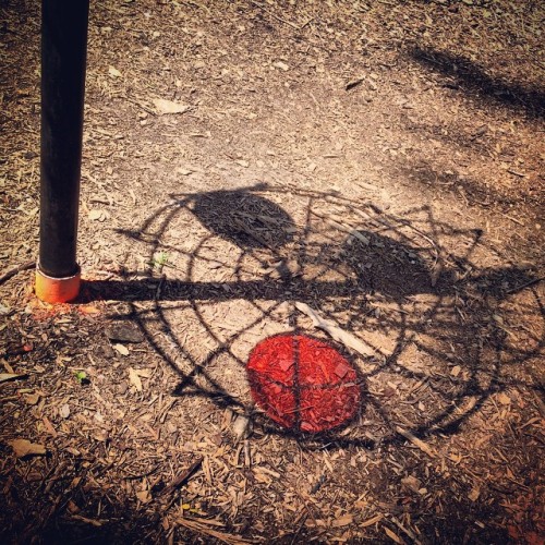 I love sunlight through MVP Proton plastic. #discgolfbaskets...