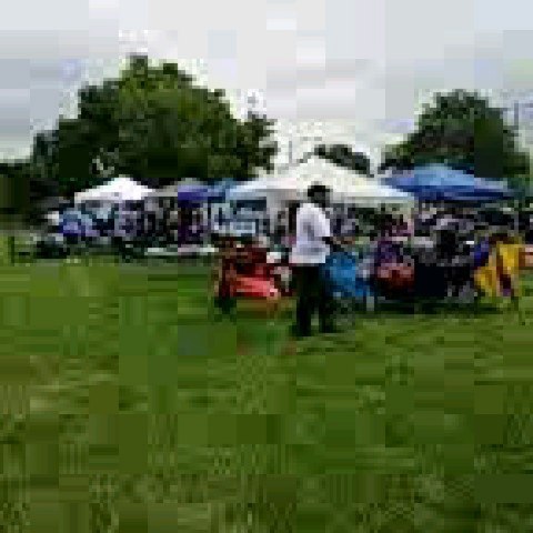 Reunion picnic (at Harlan Community Academy High School)