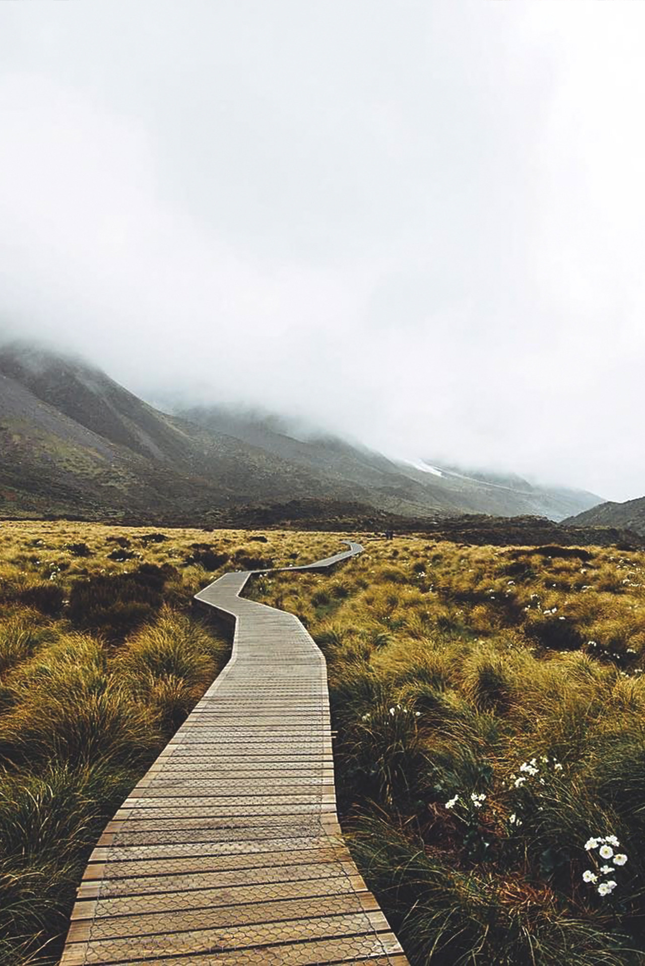 Adventurous life. New Zealand Folksong. Background. Outdoor Adventure.