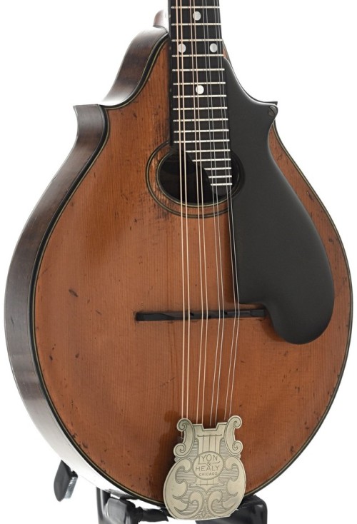 frettedchordophones:A top-of-the-line Lyon & Healy model...