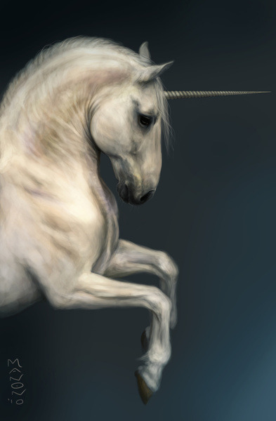 unicorn art on Tumblr