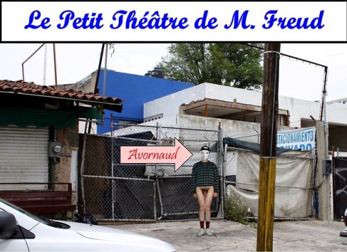 avornaud:Le Petit Théâtre de M. FreudAvornaud