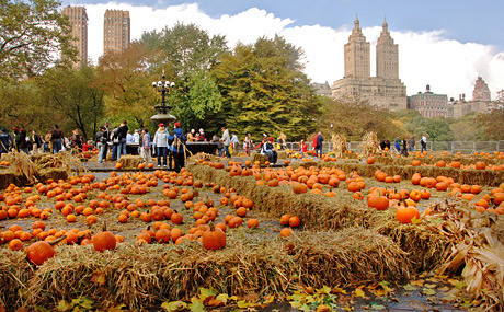 fashionista559:Central Park