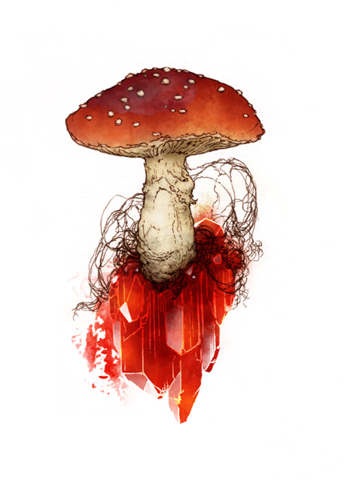 Inktober 3- A lot less healthy than yesterday’s: Fly amanita and...