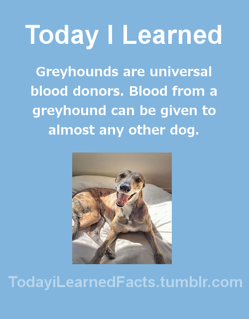 todayilearnedfacts:Follow TodayiLearnedFacts for more Daily...