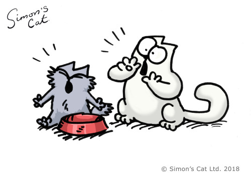 Simon's Cat