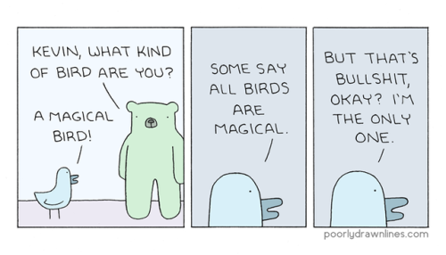 pdlcomics:Kevin the Magical BirdLelz