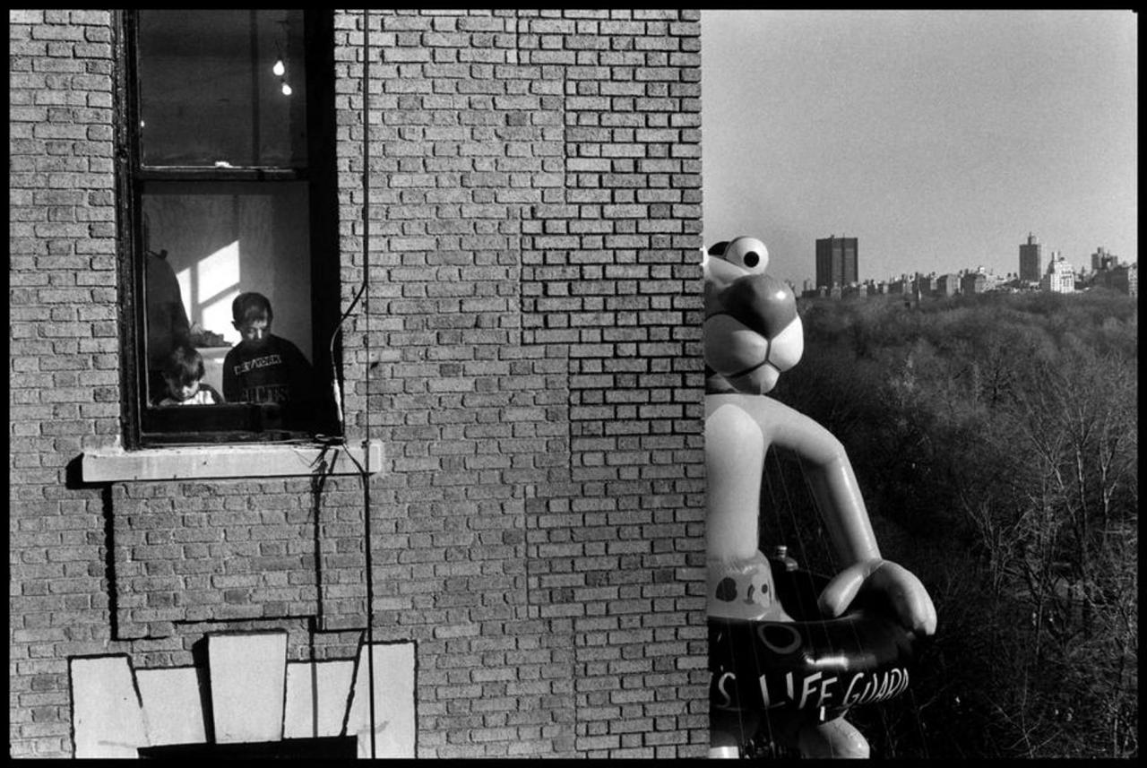 paolo-streito-1264:
“Elliott Erwitt. Pink Panther parade, NYC 1988. Macy’s Thanksgiving Day Parade.
”
“Only powerfully conceived images have the ability to penetrate the memory, to stay there, in short to become unforgettable.”__Brassai
