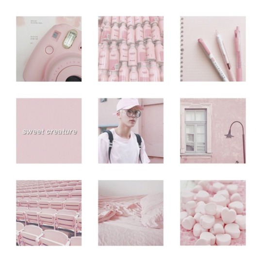 pale pink aesthetic on Tumblr