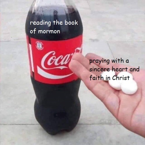 j the grind don& 039;t stop use this meme to convert your friends guys i accidentally posted this on my main blog first geez louise