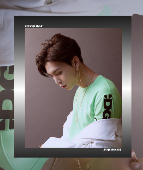 loeybby:NCT #127 // Regular - Irregular