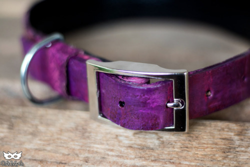 A custom order buckle collar that dried with some super fun...