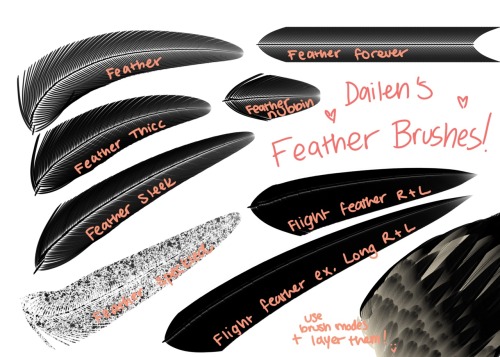 dailen-ogden-illustration:Made some photoshop feather brushes...