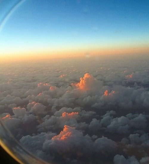 01•13•2019The clouds look like dessert!! Leaving Orlando this...