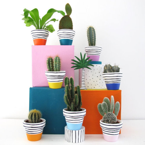 lesstalkmoreillustration:Hand Painted Plant Pots By...