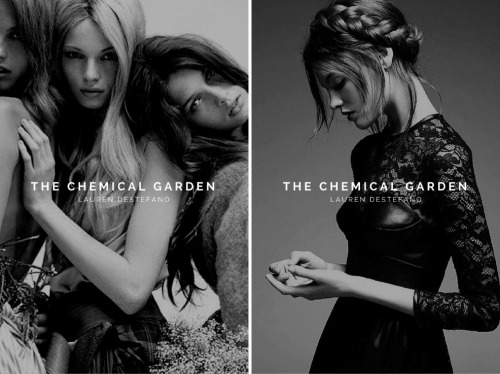 The Chemical Garden Tumblr