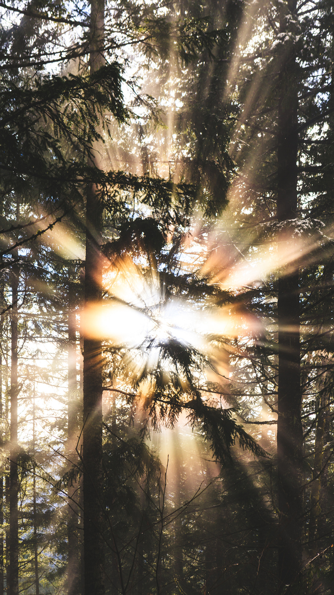 brianstowell - Gifford Pinchot National Forest, Washington