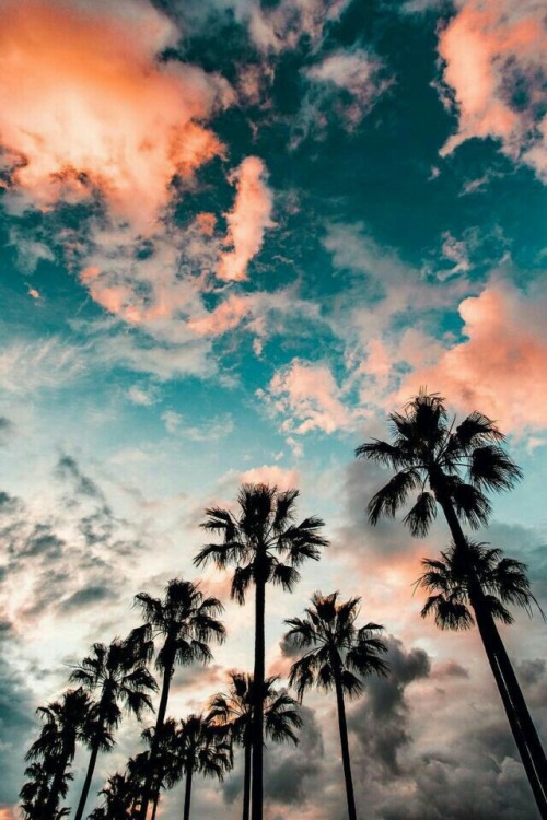 night-time-my-time