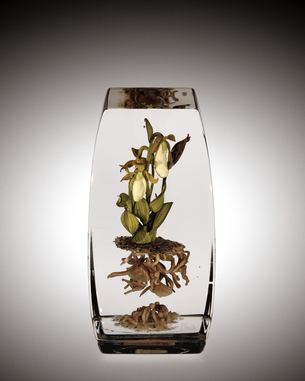 Corning Museum Of Glass Glass Artist Paul Stankard Uses Botanical