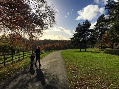 Beautiful day for a walk ...#greyscourt #henley...