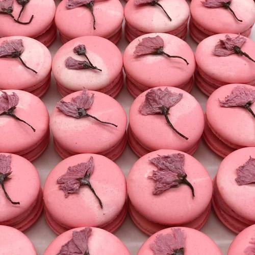 andantegrazioso:Dried flowers macarons | m_comme_macaron