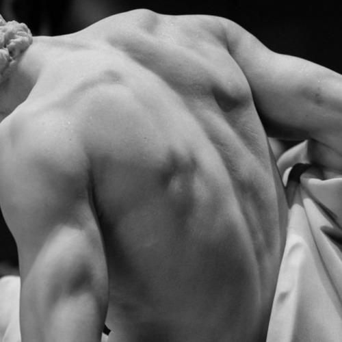 detailedart:Details: The Dying Gladiator, 1799, by Pierre...