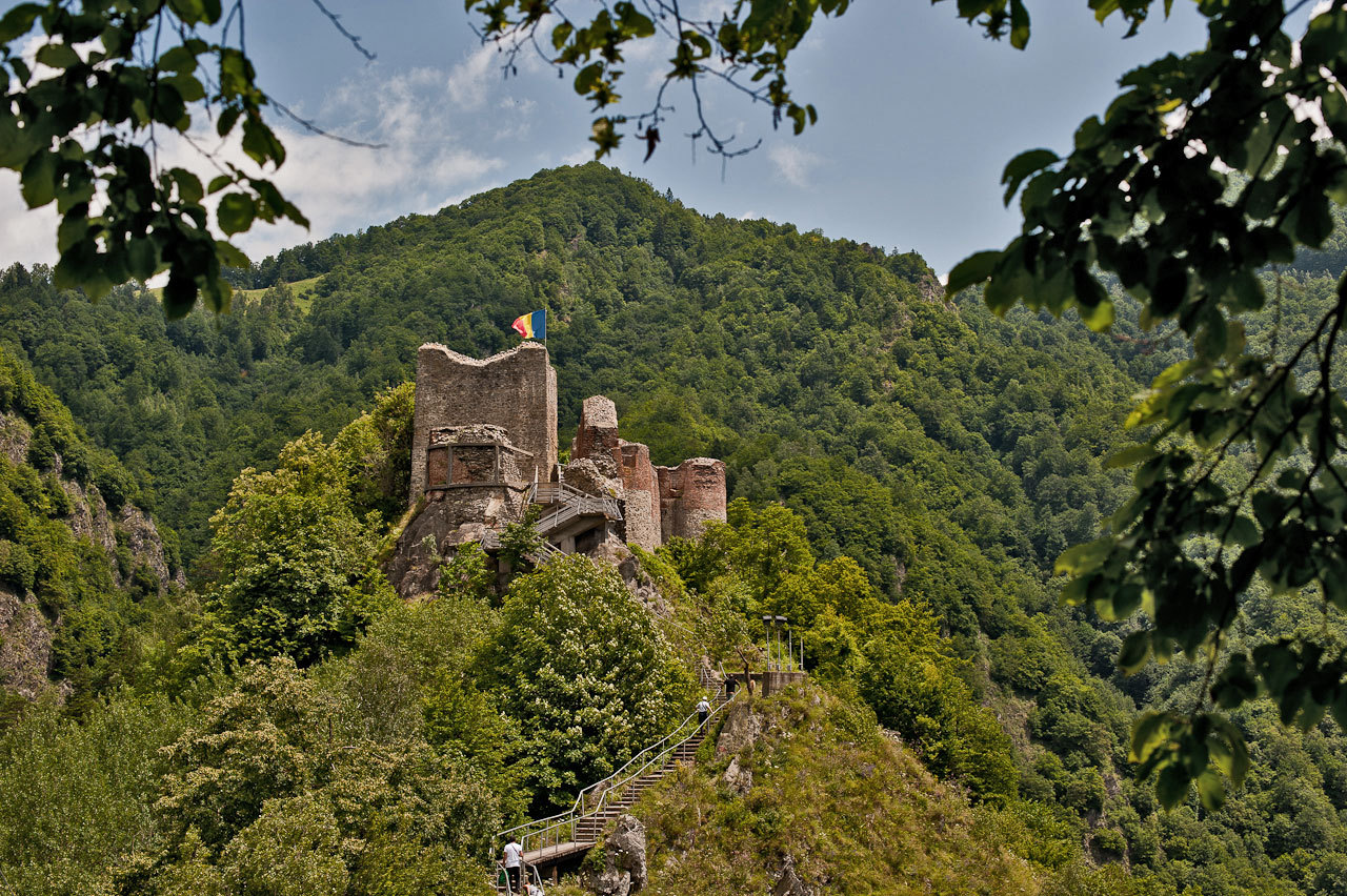 Image result for poenari castle