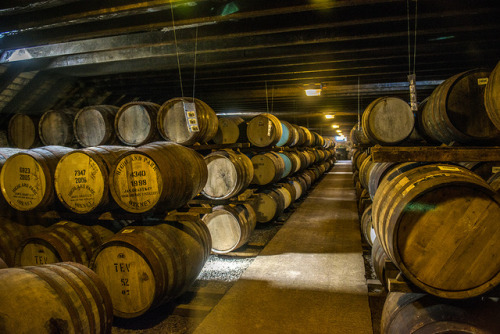 footloose-travel:Oak barrels of “spirits” maturing into Scotch...