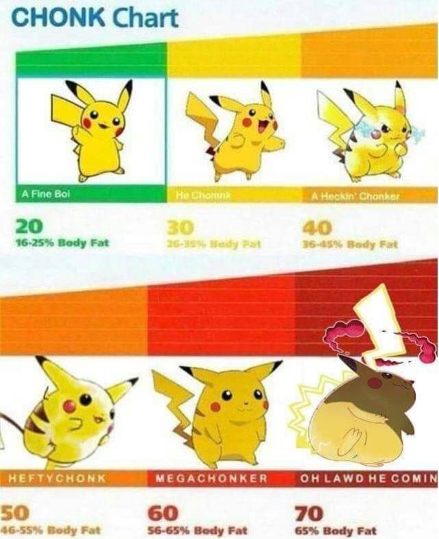 chonkachu price