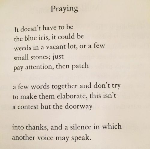 arterialtrees:Mary Oliver