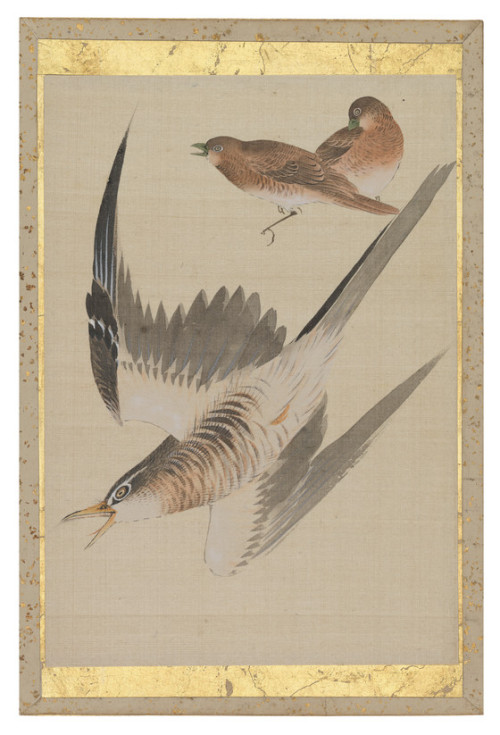 heaveninawildflower:Pictures of birds from an album of silk...