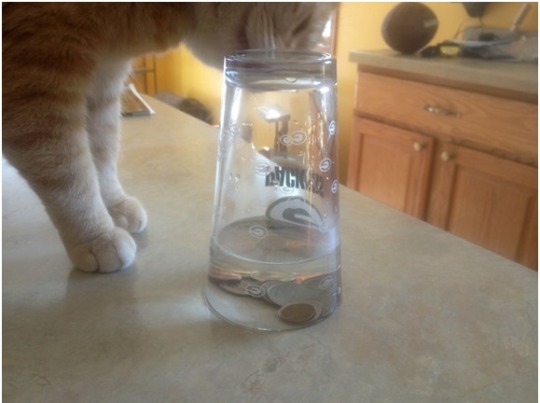 Thirsty Prank