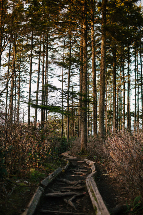 stephaniedolen:cape flattery