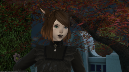 Ffxiv Styled For Hire Hairstyle - Haircuts you'll be ...