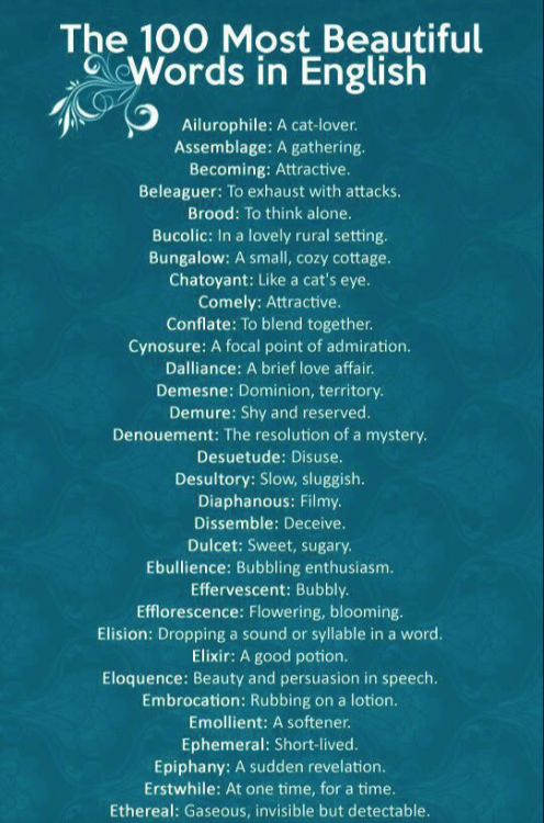 100-most-beautiful-words-in-the-english-language-tumblr