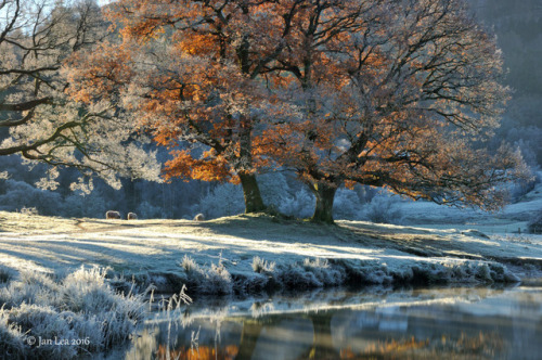 allthingseurope:Elterwater, Lake District, UK (by jeanette...