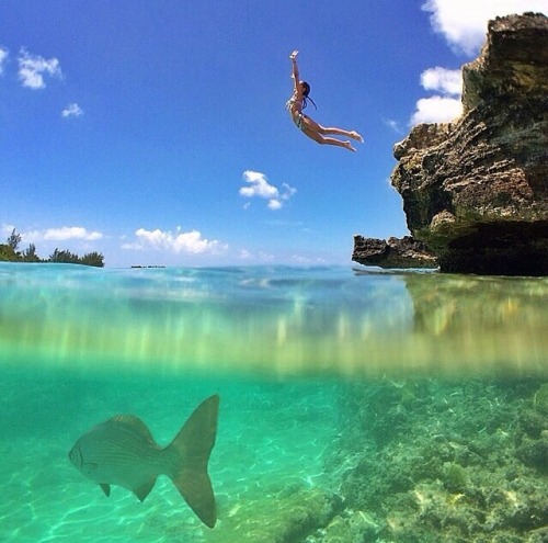 Cliff Jumping On Tumblr