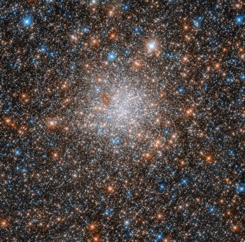 Cluster in Large Magellanic Cloud