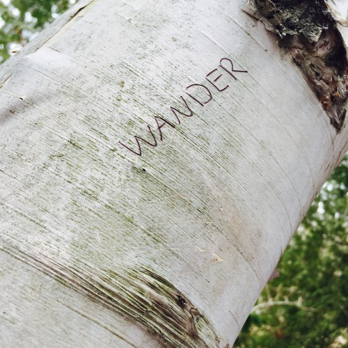 thewandersociety-ww:April 29th 2016Wandered for 4 ½ hours. I...