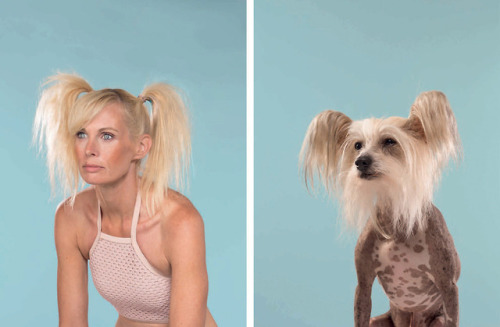 itscolossal:Uncanny Resemblances Between Classic Dog Breeds and...