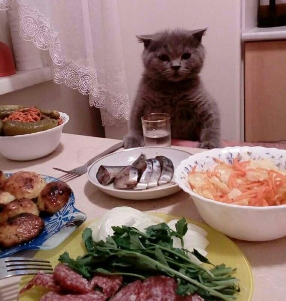 tumblr photo
