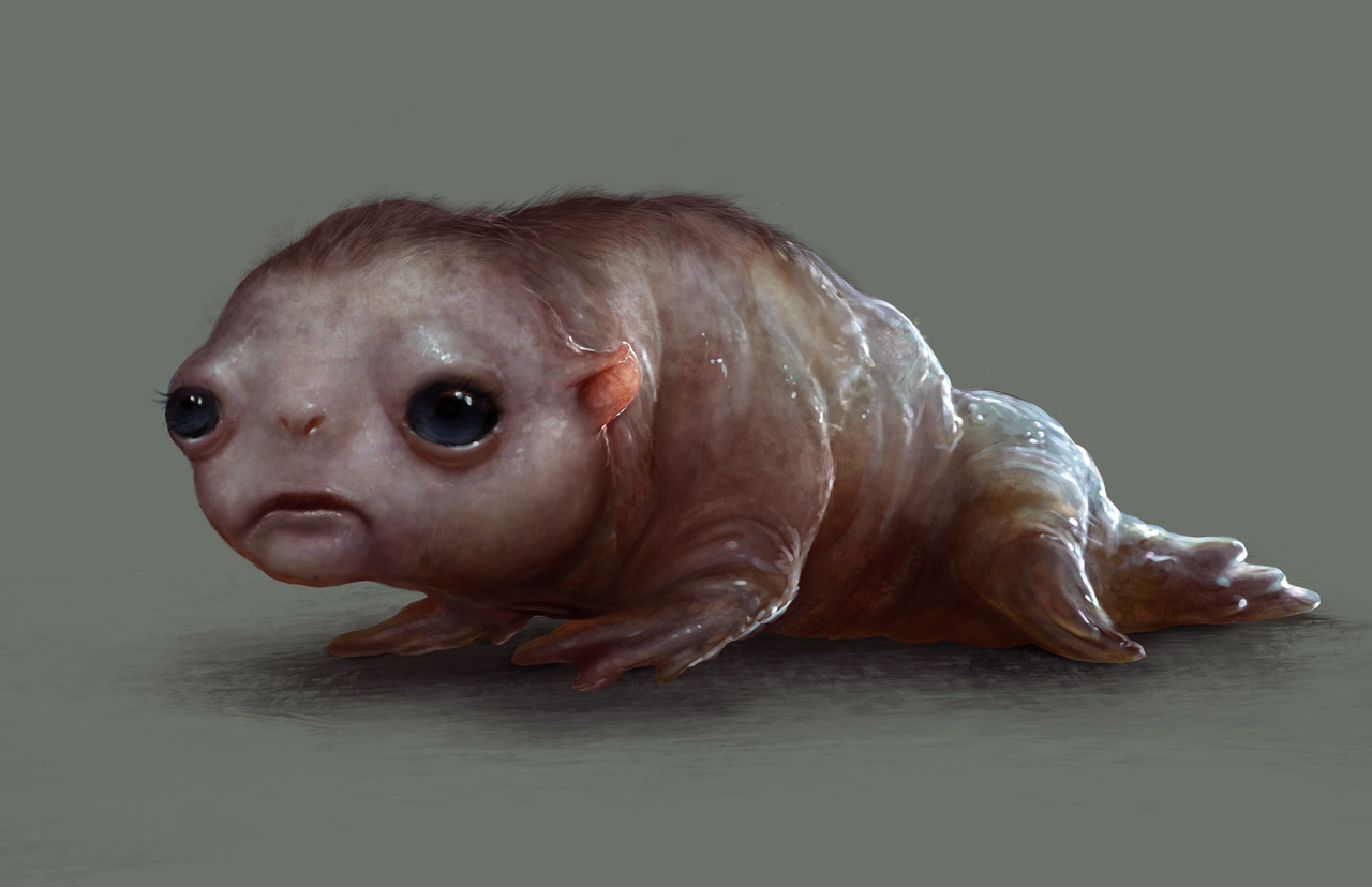 Original creature design artwork by Shreya Shetty For EatSleepDraw contributor Bobby Miller’s creature movie THE CLEANSE. Starring Johnny Galecki, Anna Friel, Anjelica Huston, and Oliver Platt. OUT RIGHT NOW! Watch here!