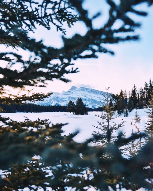 bradyuen:Two Jack Lake in all its beauty.