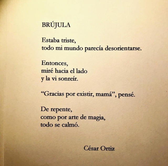 El Arte De Descubrir A Mi Mama La Mujer De Mi Vida Cesar Ortiz