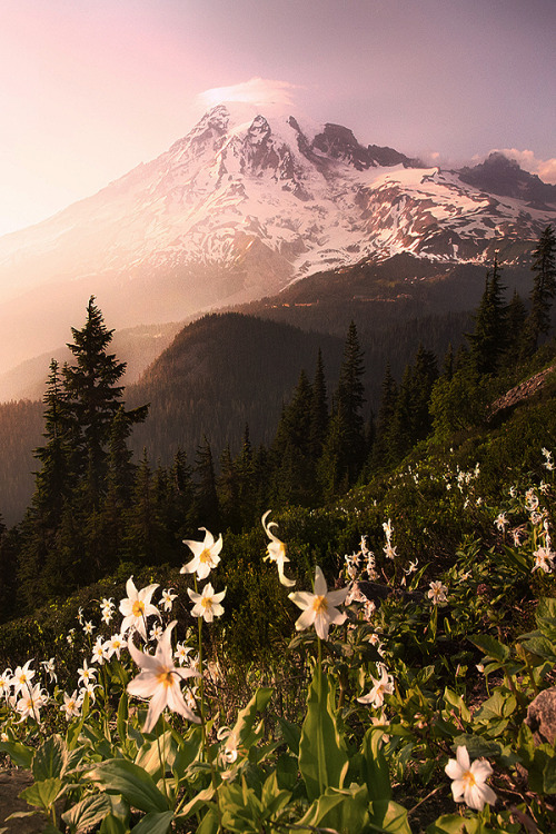 alyssahailey:gu4ilan:Gu4ilan |The Mountain by...