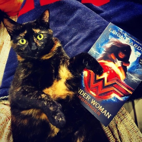 artificialpace:Someone might just be Wonder Woman’s #1 fan....